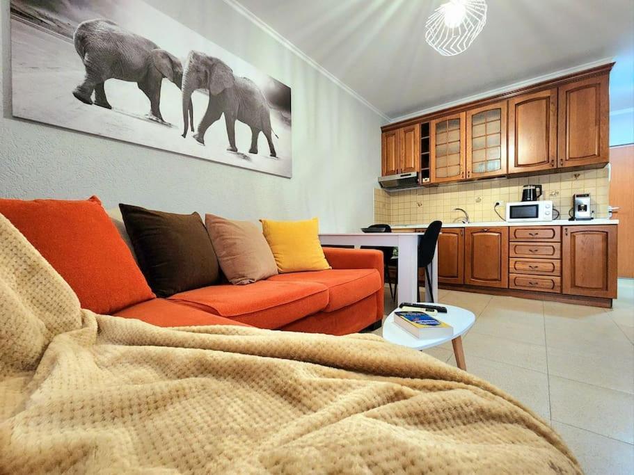 One Bd Flat Near Center With 24H Self Check In Lejlighed Tirana Eksteriør billede